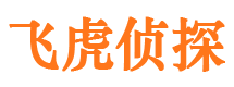 平潭外遇调查取证